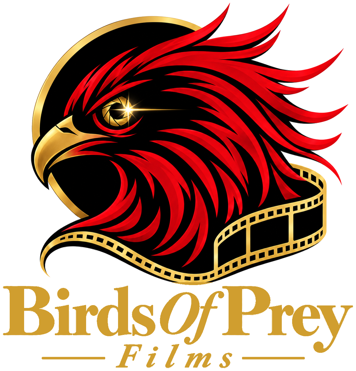 Birds Of Prey Films logo 13
